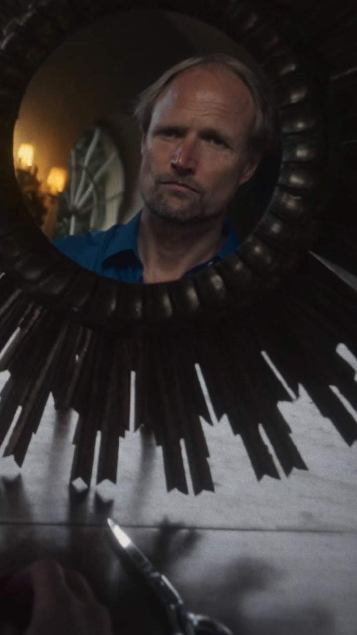 Wolf reflected in a round mirror with a radiating frame.